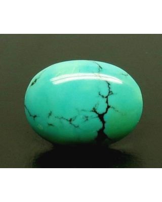 3.84/CT Natural Govt. Lab Certified Turquoise-1221        