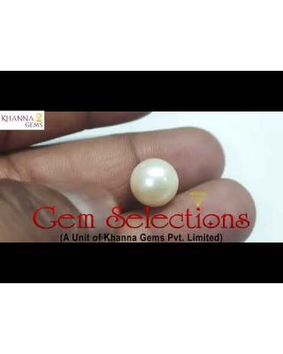 8.30/CT Natural South Sea Pearl with Lab Certificate-(1332)       