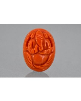 12.65/Carat Natural Ganesh JI Japanese Red Coral-9200     