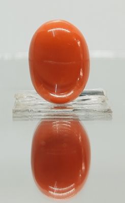 13.96 Ratti Japanese Red Coral - (5500)