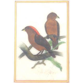 Handicraft Gifts - Birds * Animals *  Lady Figures
