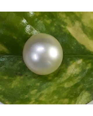 6.85/CT Natural South Sea Pearl with Lab Certificate-(1332)        