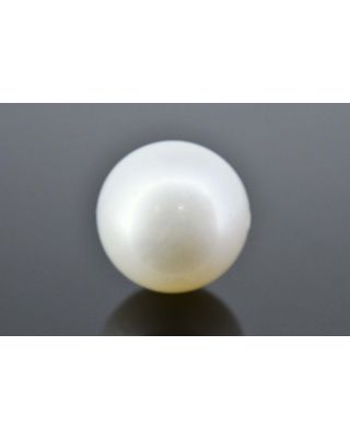 11.36/CT Natural South Sea Pearl with Govt. Lab Certificate (1550)    