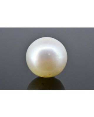 7.03/CT Natural South Sea Pearl with Govt. Lab Certificate (1550)   