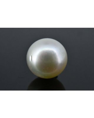 6.28/CT Natural South Sea Pearl with Govt. Lab Certificate (1550)   