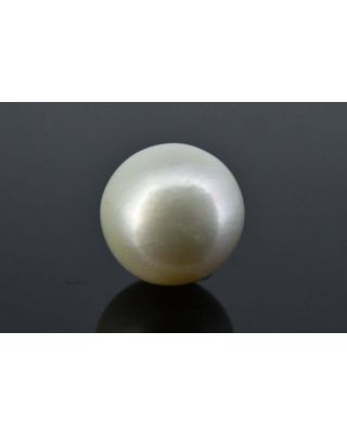 5.24/CT Natural South Sea Pearl with Govt. Lab Certificate (1550)   