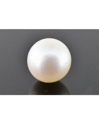 9.04/CT Natural South Sea Pearl with Govt. Lab Certificate (1550)    