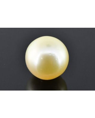 12.10/CT Natural South Sea Pearl with Govt. Lab Certificate (1550)    