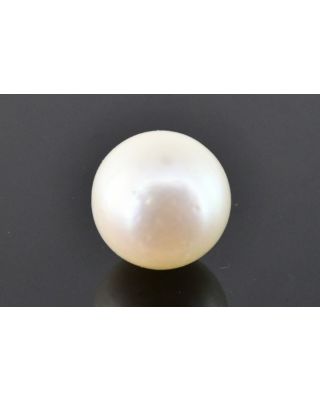 11.36/CT Natural South Sea Pearl with Govt. Lab Certificate (1550)  