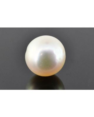 8.80/CT Natural South Sea Pearl with Govt. Lab Certificate (1550)   