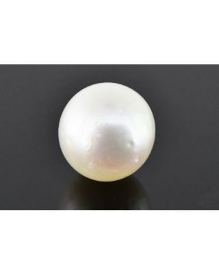 12.41/CT Natural South Sea Pearl with Govt. Lab Certificate (1550)    