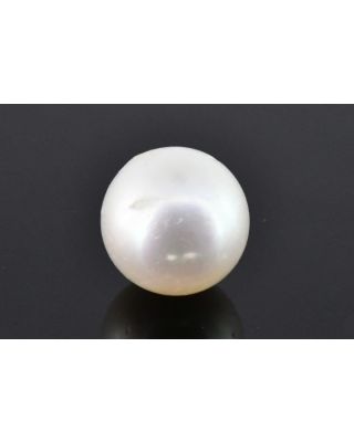 8.48/CT Natural South Sea Pearl with Govt. Lab Certificate (1550)    