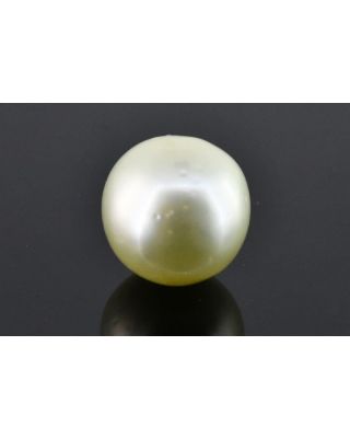 10.17/CT Natural South Sea Pearl with Govt. Lab Certificate (1550)   