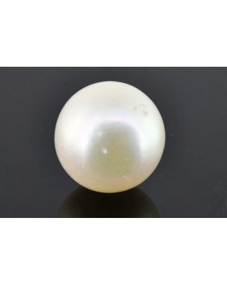 11.02/CT Natural South Sea Pearl with Govt. Lab Certificate (1550)   