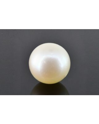 15.38/CT Natural South Sea Pearl with Govt. Lab Certificate (1550)     