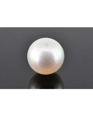 8.15/CT Natural South Sea Pearl with Govt. Lab Certificate (1550)   