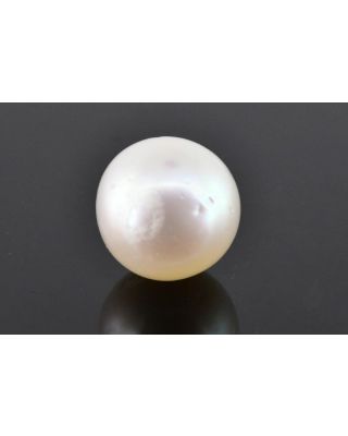 9.31/CT Natural South Sea Pearl with Govt. Lab Certificate (1550)   