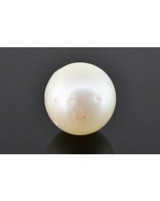 9.20/CT Natural South Sea Pearl with Govt. Lab Certificate (1550)   