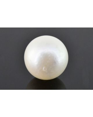 10.82/CT Natural South Sea Pearl with Govt. Lab Certificate (1550)   