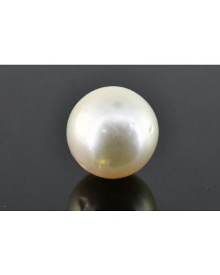 8.41/CT Natural South Sea Pearl with Govt. Lab Certificate (1550)    