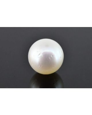 9.14/CT Natural South Sea Pearl with Govt. Lab Certificate (1550)    