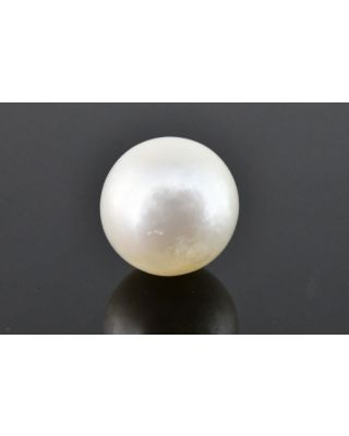 8.66/CT Natural South Sea Pearl with Govt. Lab Certificate (1550)    