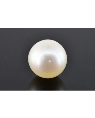 9.00/CT Natural South Sea Pearl with Govt. Lab Certificate (1550)    