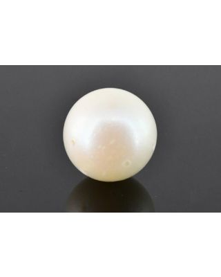 9.34/CT Natural South Sea Pearl with Govt. Lab Certificate (1550)   