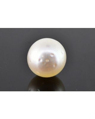 8.24/CT Natural South Sea Pearl with Govt. Lab Certificate (1550)   