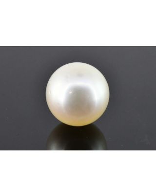 9.39/CT Natural South Sea Pearl with Govt. Lab Certificate (1550)   