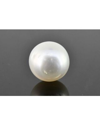 8.23/CT Natural South Sea Pearl with Govt. Lab Certificate (1550)  