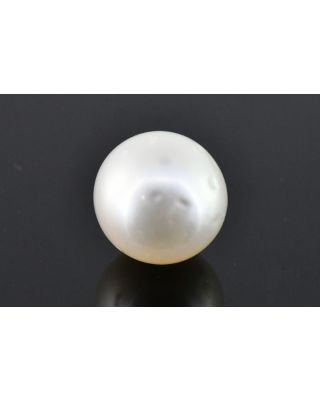 8.29/CT Natural South Sea Pearl with Govt. Lab Certificate (1550)    