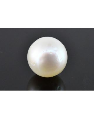 8.22/CT Natural South Sea Pearl with Govt. Lab Certificate (1550)  