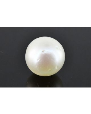 8.43/CT Natural South Sea Pearl with Govt. Lab Certificate (1550)    