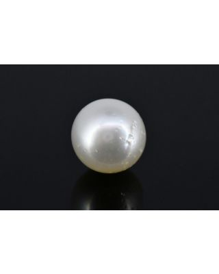 6.77/CT Natural South Sea Pearl with Govt. Lab Certificate (1550)    