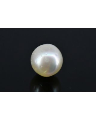 6.61/CT Natural South Sea Pearl with Govt. Lab Certificate (1550)   