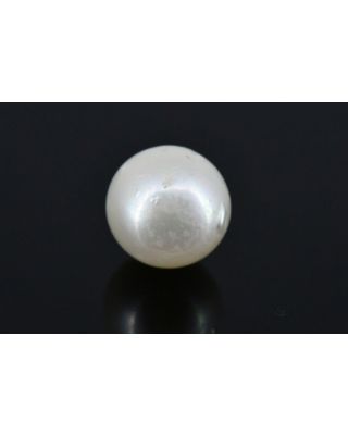 4.70/CT Natural South Sea Pearl with Govt. Lab Certificate (1550)   