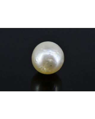 4.56/CT Natural South Sea Pearl with Govt. Lab Certificate (1550)  