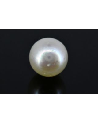 3.34/CT Natural South Sea Pearl with Govt. Lab Certificate (1550)    