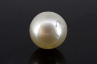 5.06/CT Natural South Sea Pearl with Govt. Lab Certificate-1550    