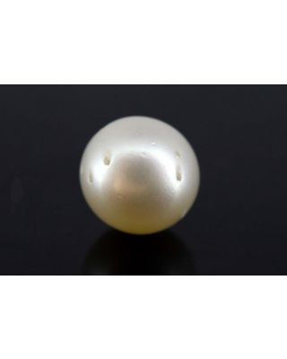 6.86/CT Natural South Sea Pearl with Govt. Lab Certificate-1550    