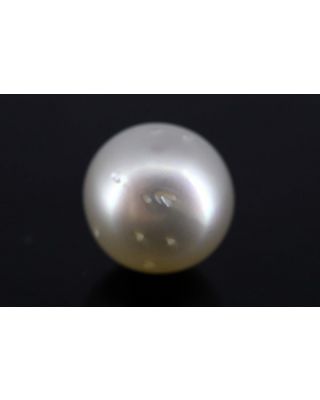 8.34/CT Natural South Sea Pearl with Govt. Lab Certificate-1550    