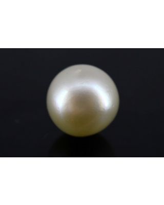 7.52/CT Natural South Sea Pearl with Govt. Lab Certificate-1550    