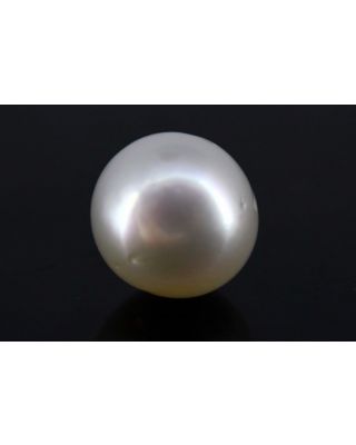 4.61/CT Natural South Sea Pearl with Govt. Lab Certificate-1550    