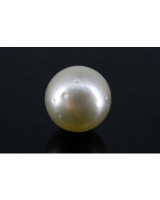 4.56/CT Natural South Sea Pearl with Govt. Lab Certificate-1550    