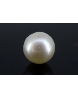 4.70/CT Natural South Sea Pearl with Govt. Lab Certificate-1550    