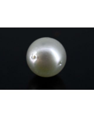 4.84/CT Natural South Sea Pearl with Govt. Lab Certificate-1550    