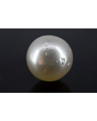 4.47/CT Natural South Sea Pearl with Govt. Lab Certificate-1550    