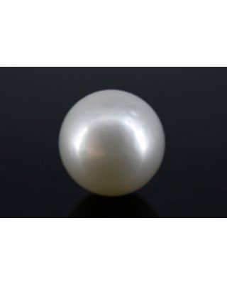 4.93/CT Natural South Sea Pearl with Govt. Lab Certificate-1550    