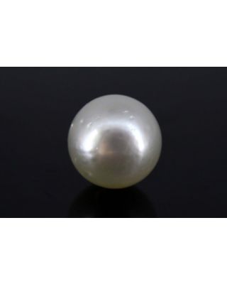 5.63/CT Natural South Sea Pearl with Govt. Lab Certificate-1550    